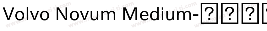 Volvo Novum Medium字体转换